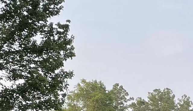 House 2bedroom, 2 bath Home away from home, 2 miles from town,