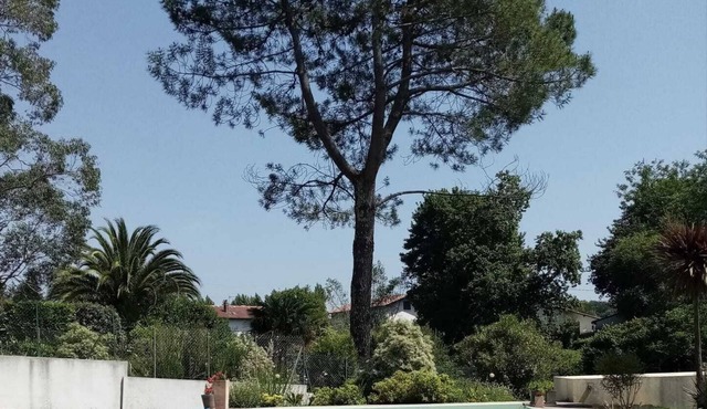 House 3bed, 2bath, heated pool, Bayonne, beaches, surfing, hiking in the Basque country