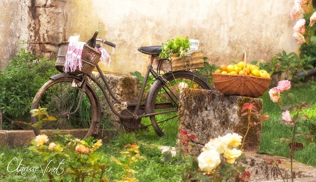 House 4/5 Bed and Breakfast, Châtillonnais countryside, calm and charm