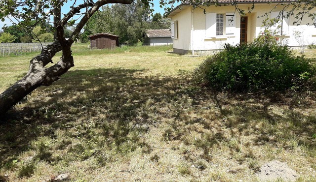 House 65m2. Large garden, vineyard view