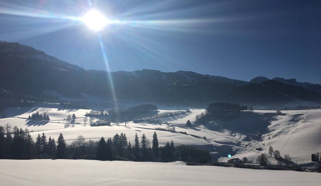 HOUSE 6P WITH EXTERIOR