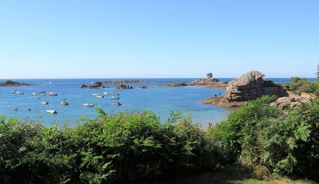 House 7 PERS with beautiful sea view from the garden in TREGASTEL