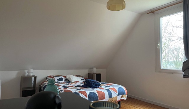 House 900m from the lake, in the countryside, pets allowed