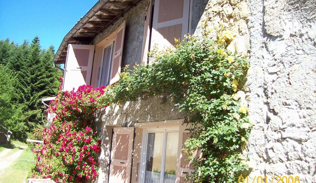 House altitude 1000 meters Forest Mountain Nature