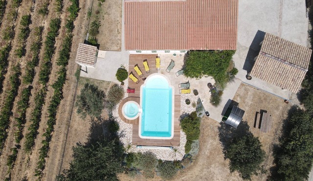 House amidst vineyards