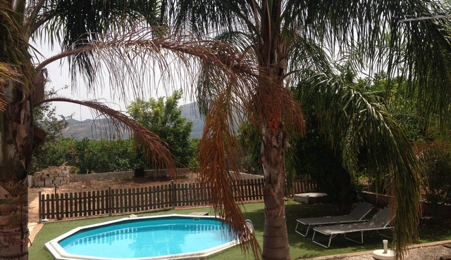 house among orange trees .