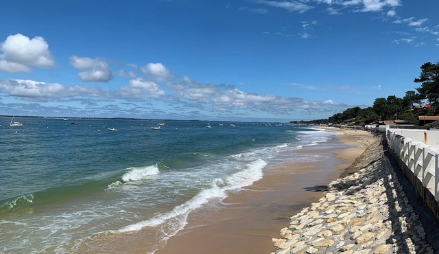 House among the pines, 7 minutes from the beach on foot