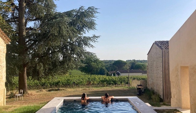 House and cottage among the vines 5 minutes from Saint Emilion