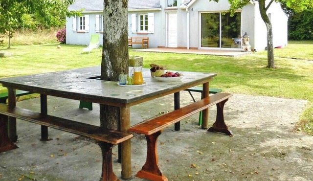 House and huge garden surrounded by apple trees