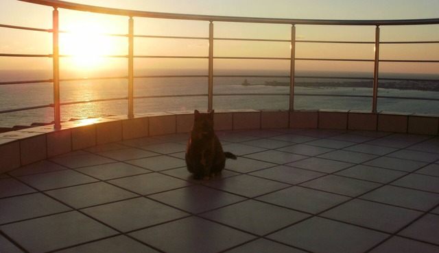 house-apartments, panoramic view overlooking sea/citadel,above ground pool/bar