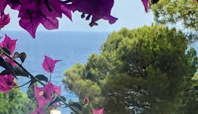 House beach in Cala Salions