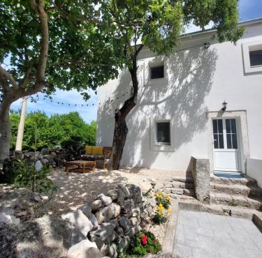 House Belej - Lola