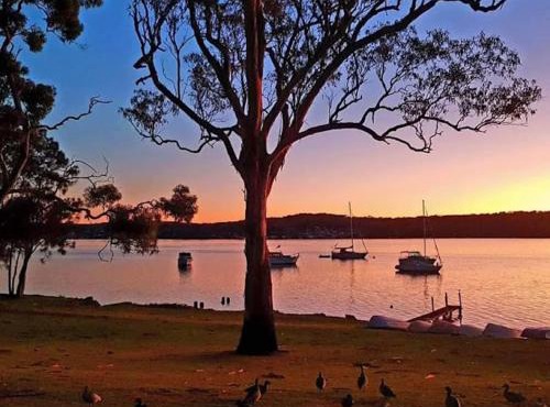 House Beside The Lake