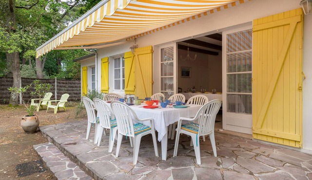 House between pine trees and beach