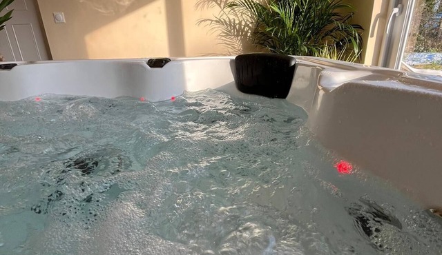 House bord de Marne 10 persons with swimming pool and jacuzzi