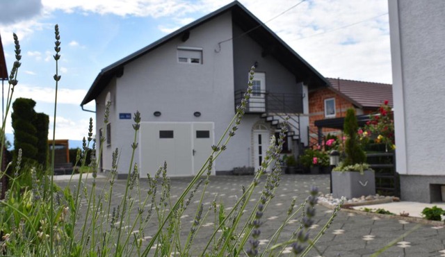 House Burić
