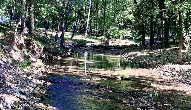 House By The Creek !