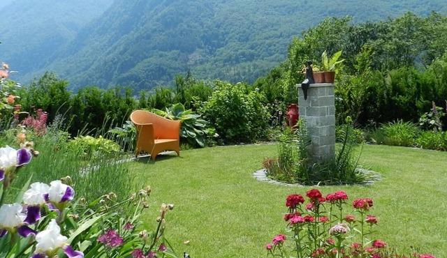 House by the waterfall with stunning view, surrounded by vineyards: A hidden gem
