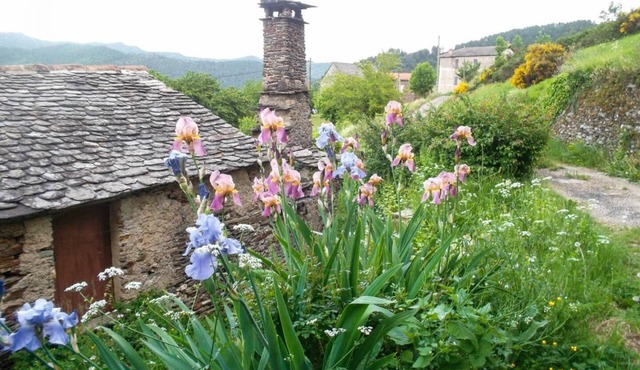 House Cavalier 2/4 persons in Gabriac