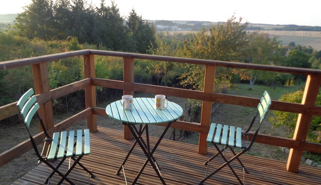 House clad in wood surrounded by nature.