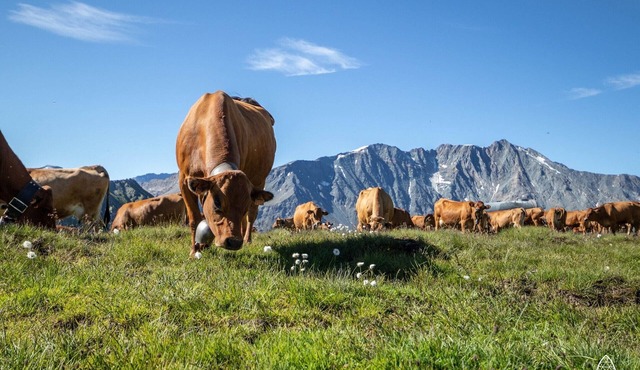 HOUSE CLOSE TO ANNECY JOLIE VERY NICE VIEW ALL COMFORT