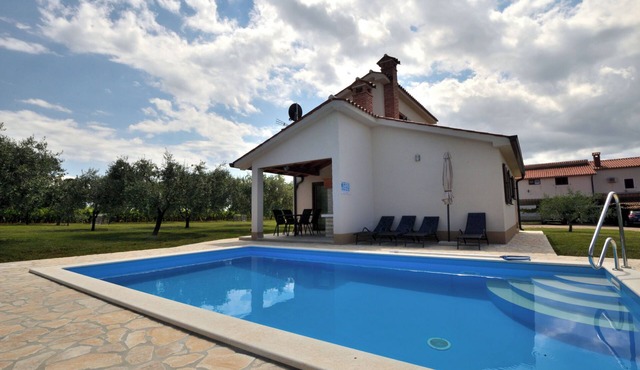 House Danci (91441-K1) - Lasici