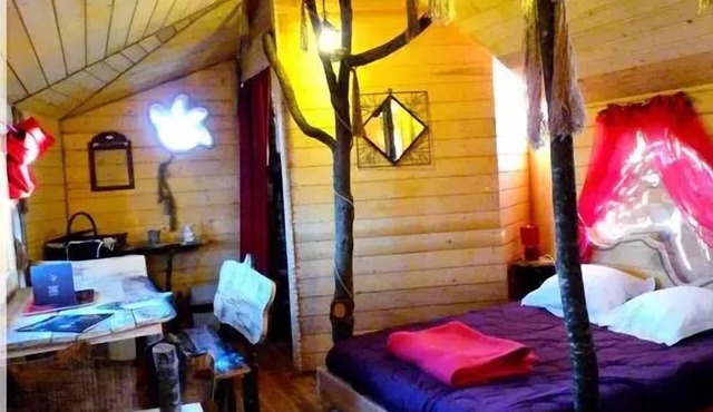 House Dans Les Branches 4 People