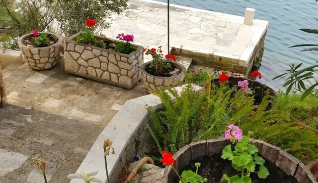 House directly by the sea