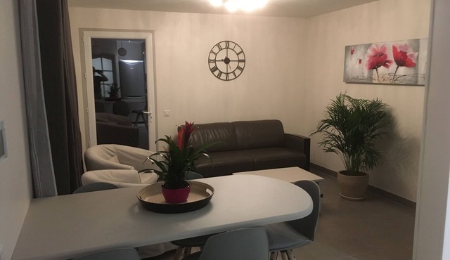 House downtown, calm, warm, with small private garden.