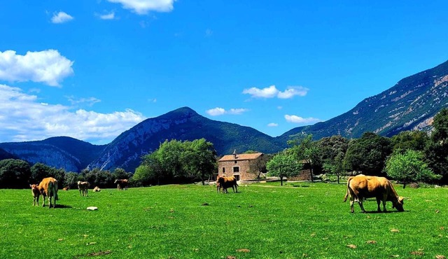 House in a unique natural setting! - 25 pax