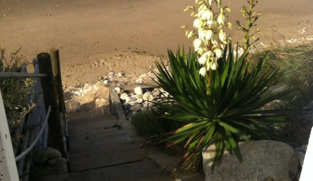 house facing the sea with PRIVATE SPA AND immediate and private ACCESS TO THE BEACH