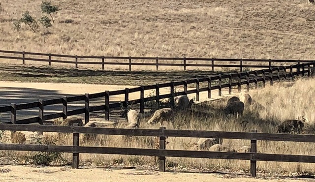 House, Farm retreat, with out door entertainment