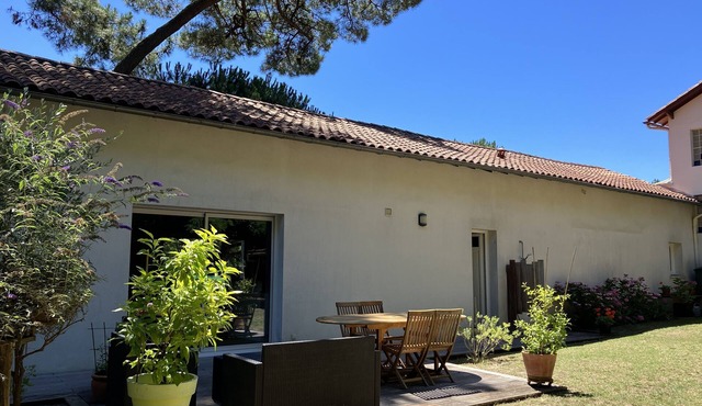 House feet in the sand, nature forest and beach on foot, Saint Palais/mer