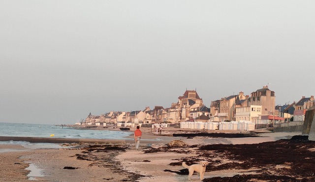 House for 12 to 18 people close to the sea