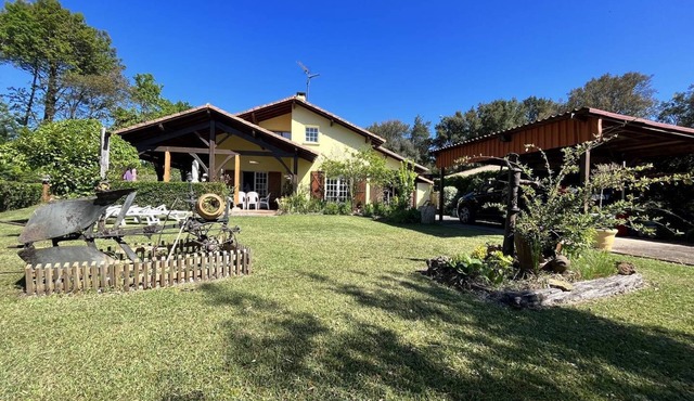 House for 6 people in Messanges