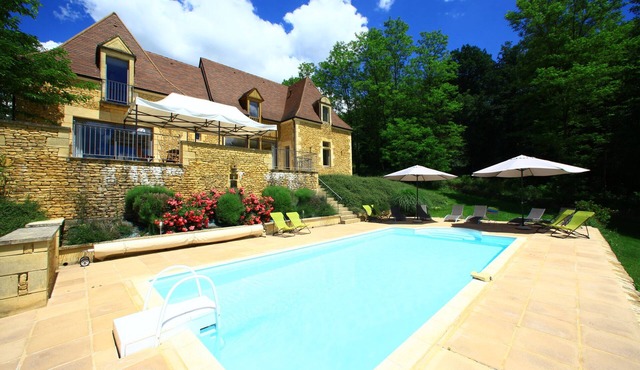 House for 12 people with private heated pool near Sarlat