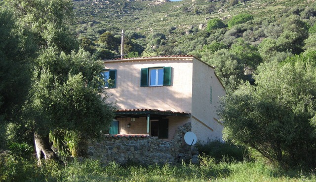 House for rent Calvi/Lunghignano/Balagne