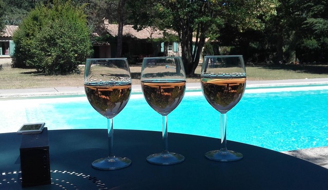 House 10 people - Luberon - pool - large garden