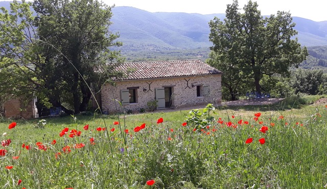 House from the 18th century, quiet with pool overlooking the Luberon
