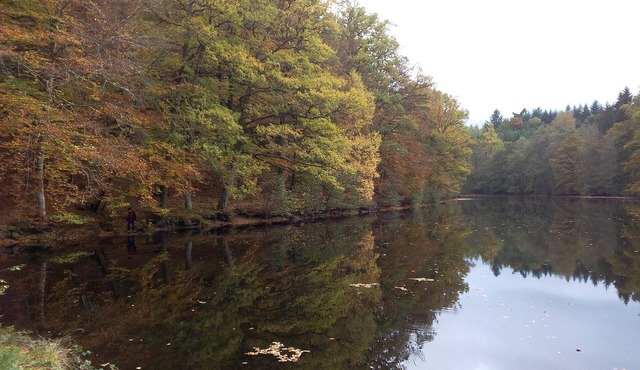 House if between Aubusson and medieval city of Crocq