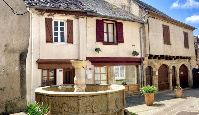 House/gite in medieval village of Najac