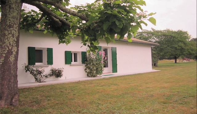 House in a green setting