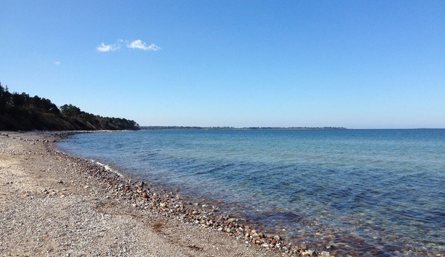 House in beautiful surroundings by Sejerøbugten. Close to the beach, woods and shop