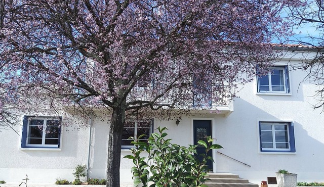 House in Couffouleux Tarn - 2km6 from Rabastens. Between Toulouse and Albi