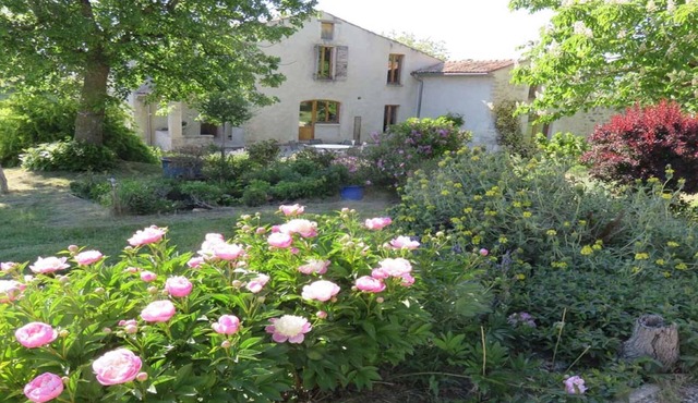 House in Forcalquier, Pleine Nature, view of the Alps, ideal for friends and family