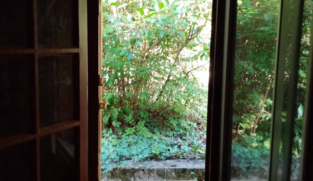 House in a large green setting