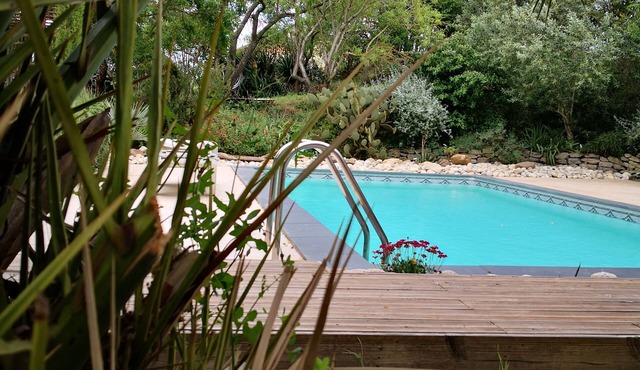 House in its wild garden