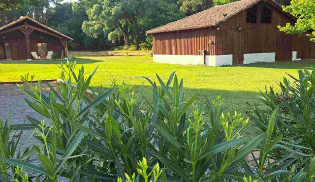 House in Léon, swimming pool, sports and games room, large garden, 5 minutes from the lake