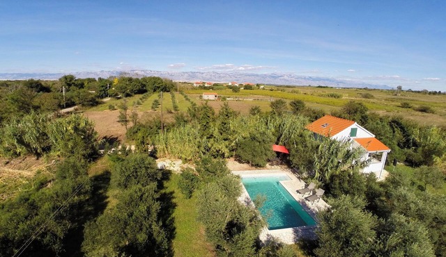 House in olive trees with swimming pool./Quiet escape in olive woods with swimming pool