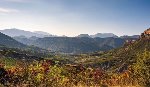 House in Provence - spa & pool - View on the forest - exceptional domain